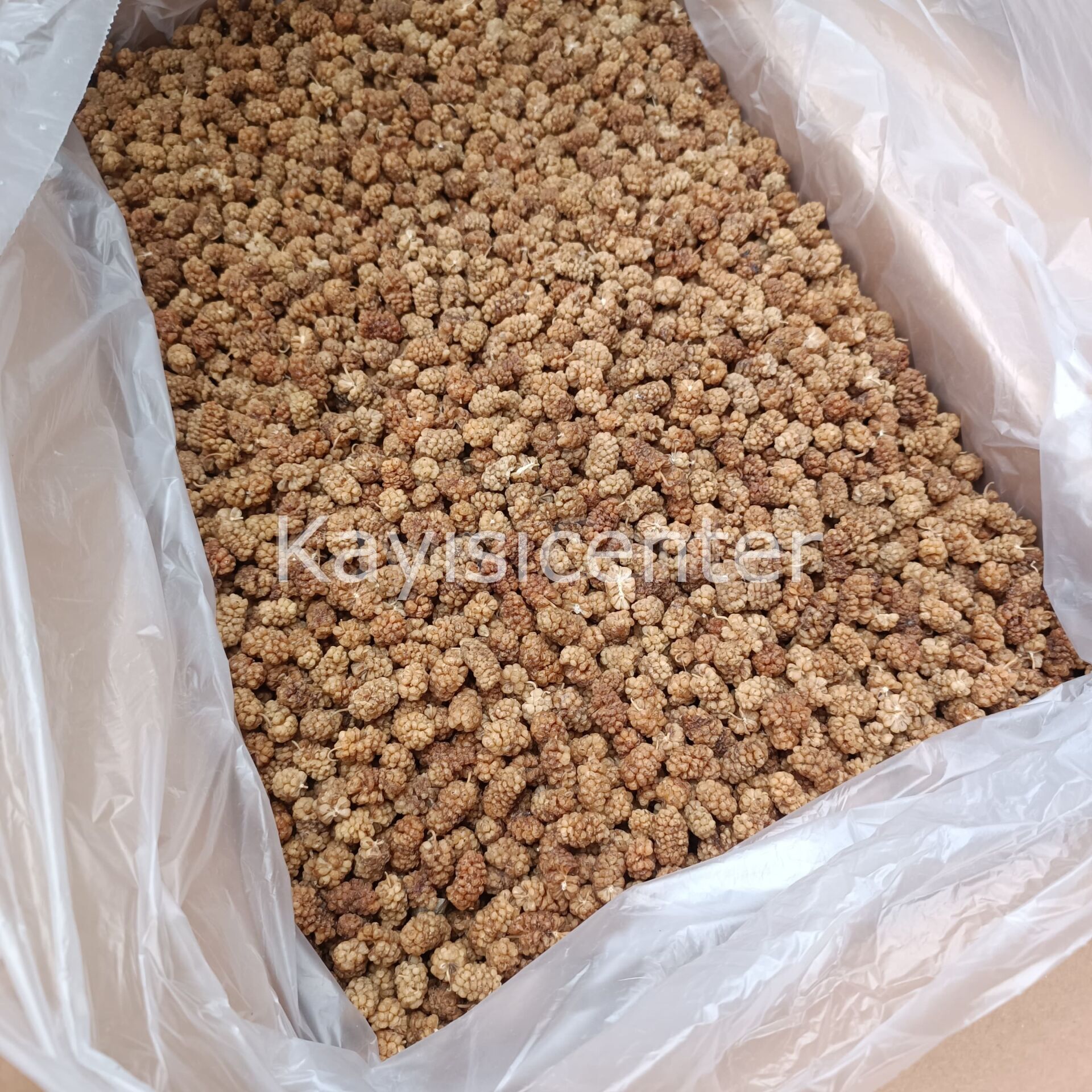 867549M446 Product Variation