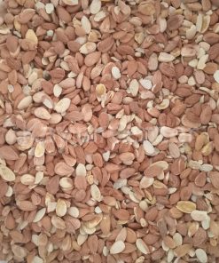 Toptan Kırık Tatlı Kayısı Çekirdeği  25 Kg