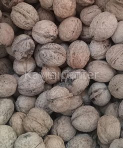 Toptan Yerli Ekonomik Kabuklu Ceviz  20 Kg