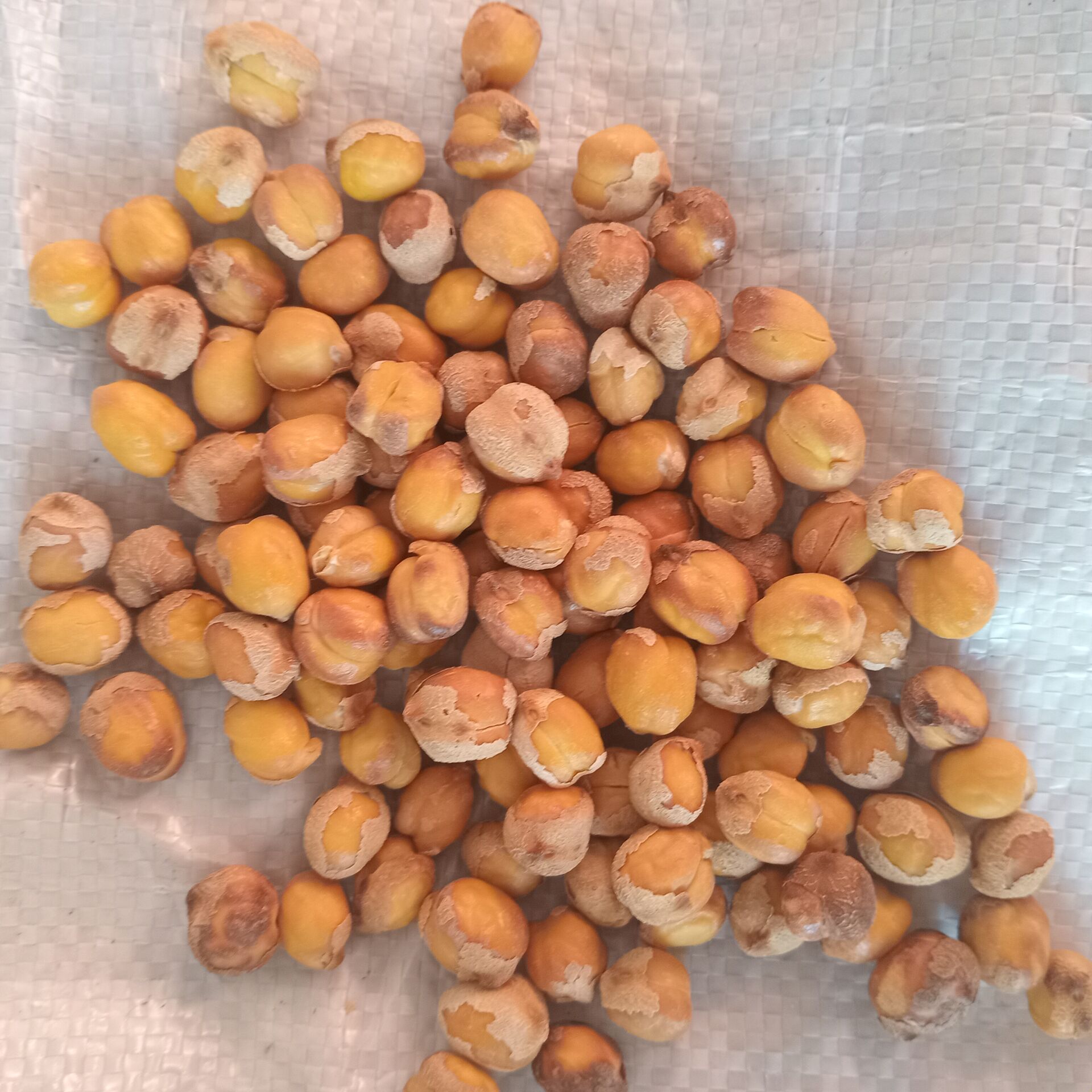 HGWHL49D12 Product Variation