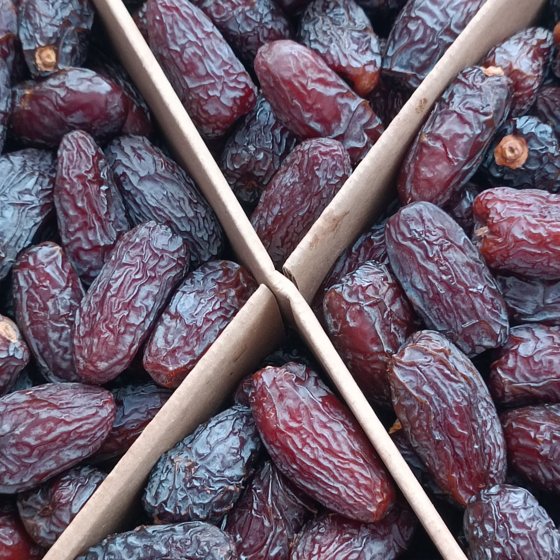 Toptan Kudüs Medjoul Premium Extra Jumbo 5 Kg