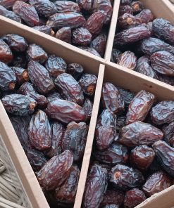 Toptan Kudüs Medjoul Midium Delight 10 Kg