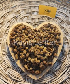 VP7QFP84H4 Product Variation