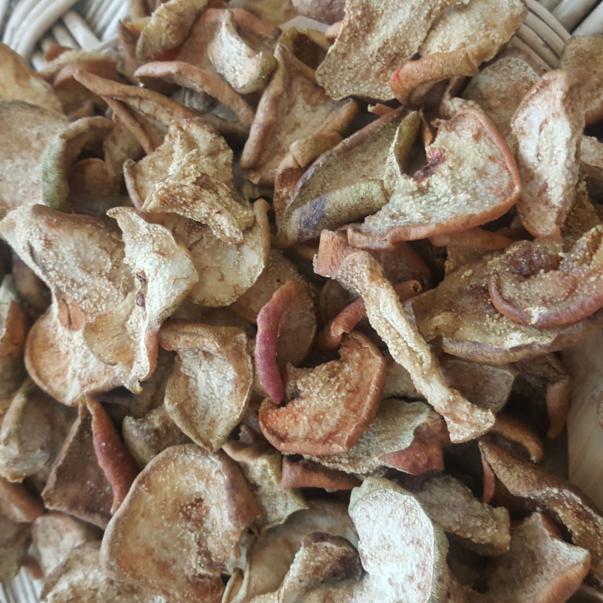 ELL8WMRM8H Product Variation