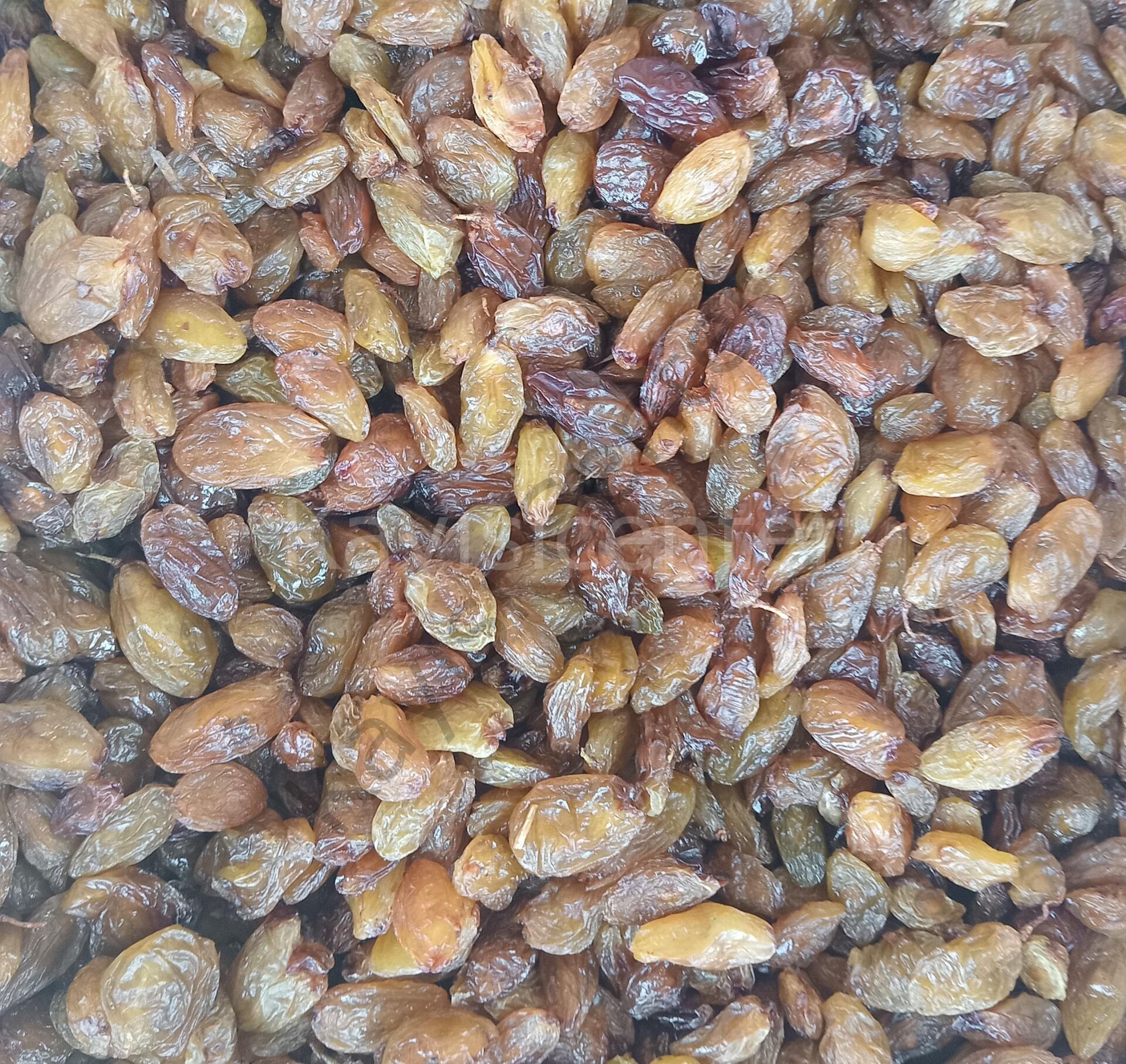 LP4P8FQK77 Product Variation