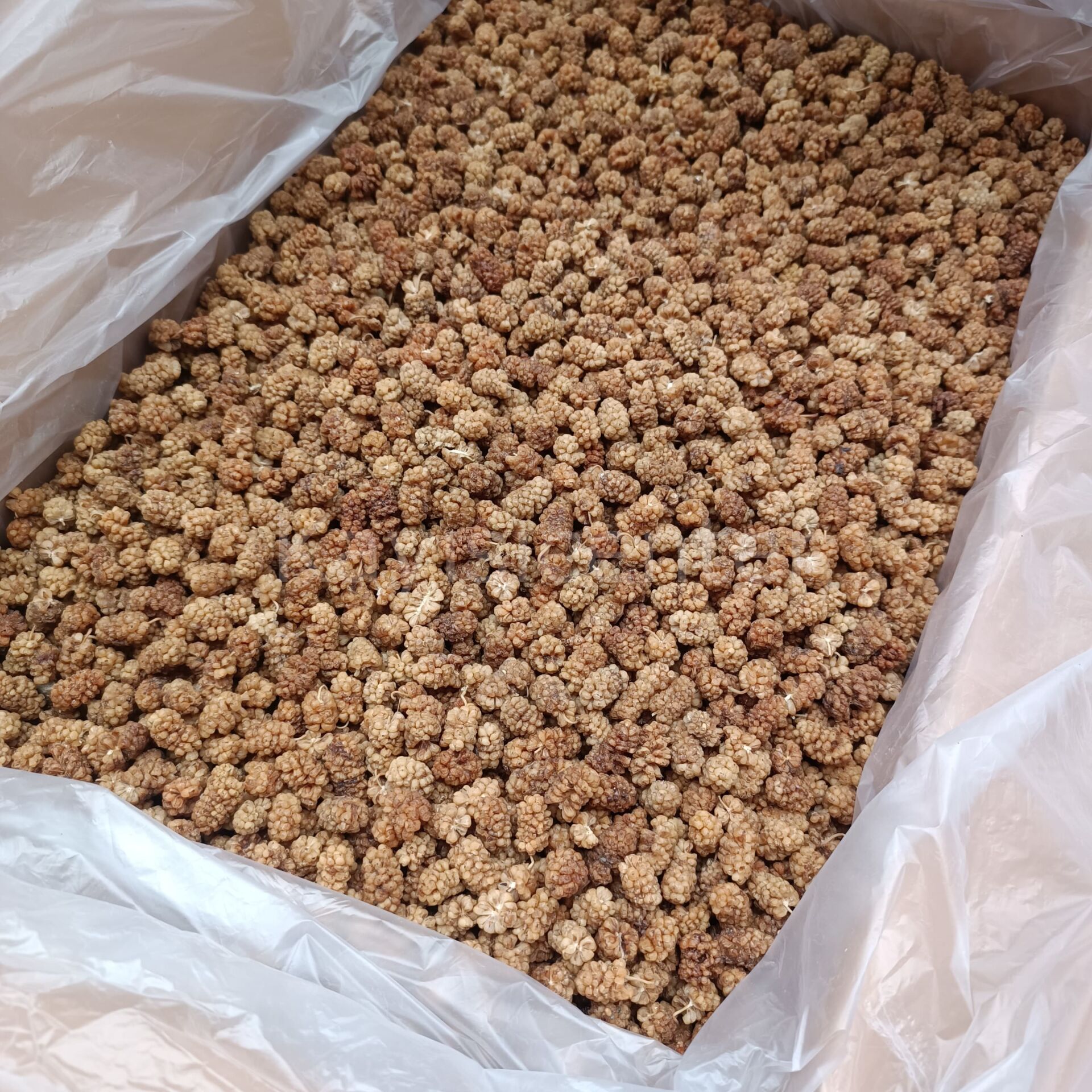 Toptan Özel Duble Dut Kurusu 12 Kg