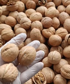 J8XV1XZWBS Product Variation