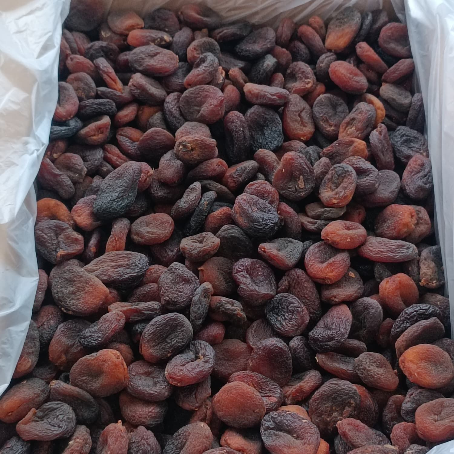 WS8CDUCHNN Product Variation