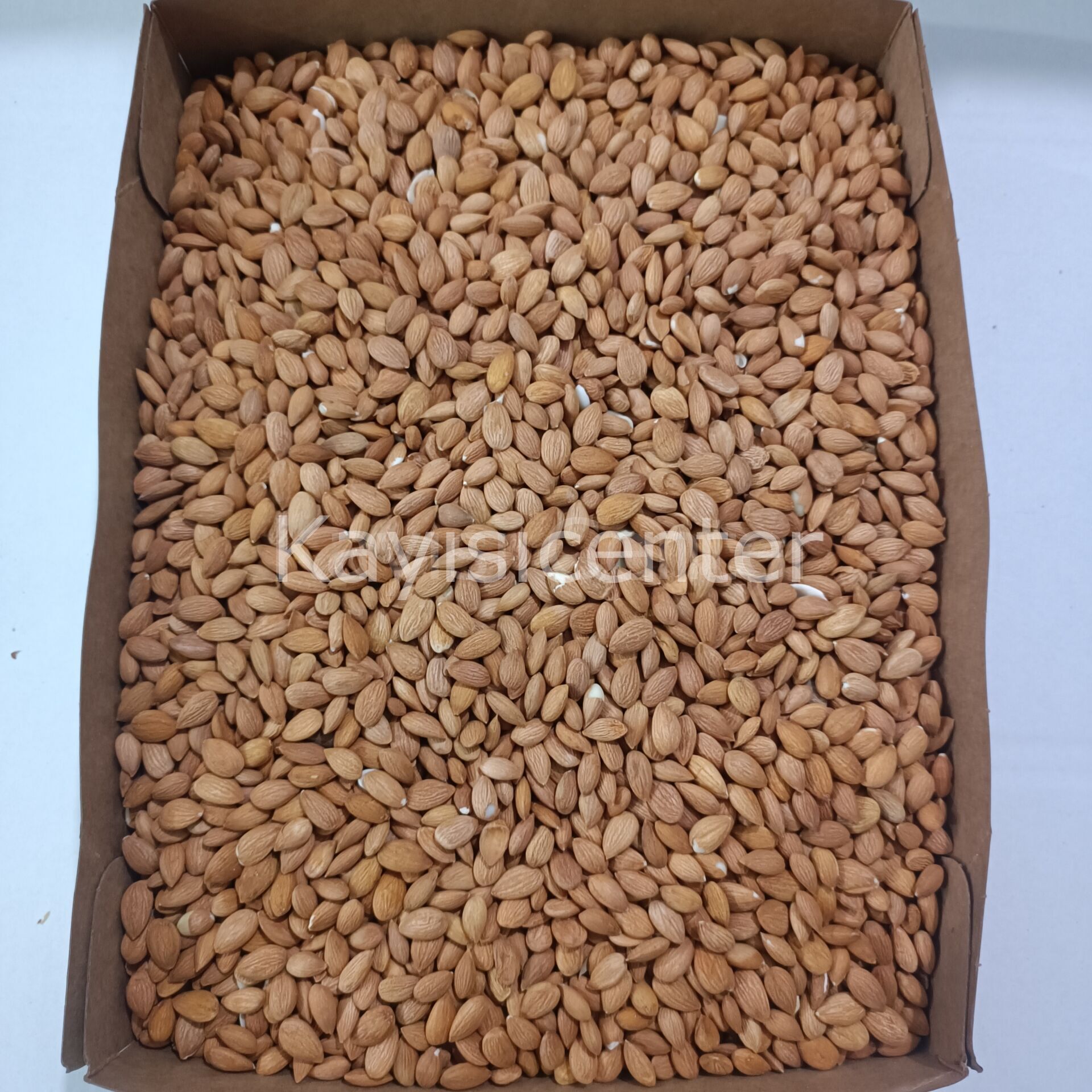 W17YD96JU1 Product Variation