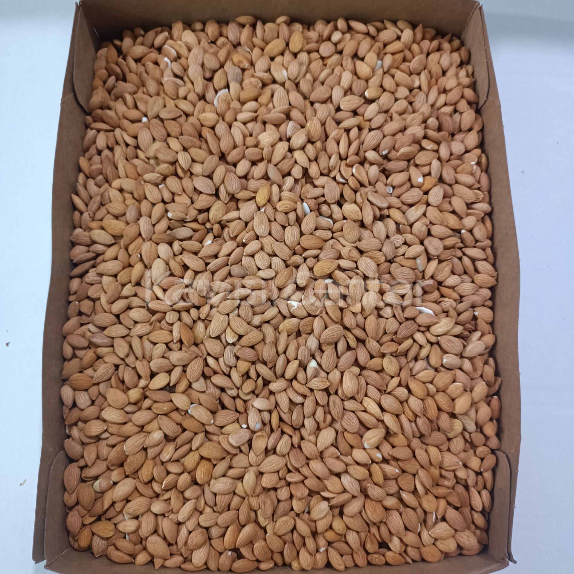 FD4PAFEXXK Product Variation