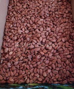 QLZNH8YBTM Product Variation