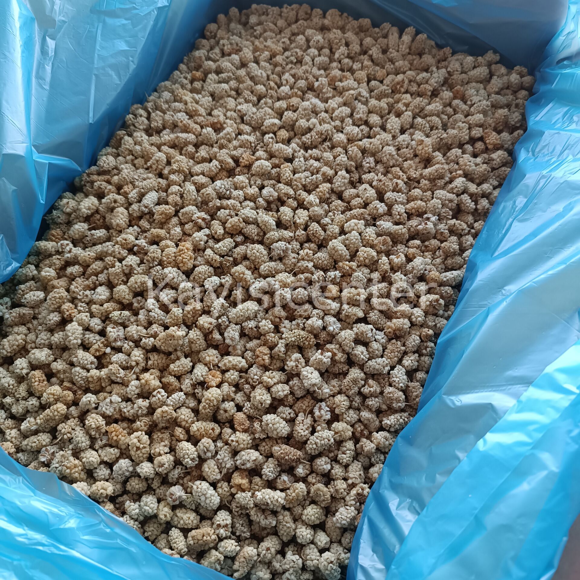 8GHL3F4VHS Product Variation