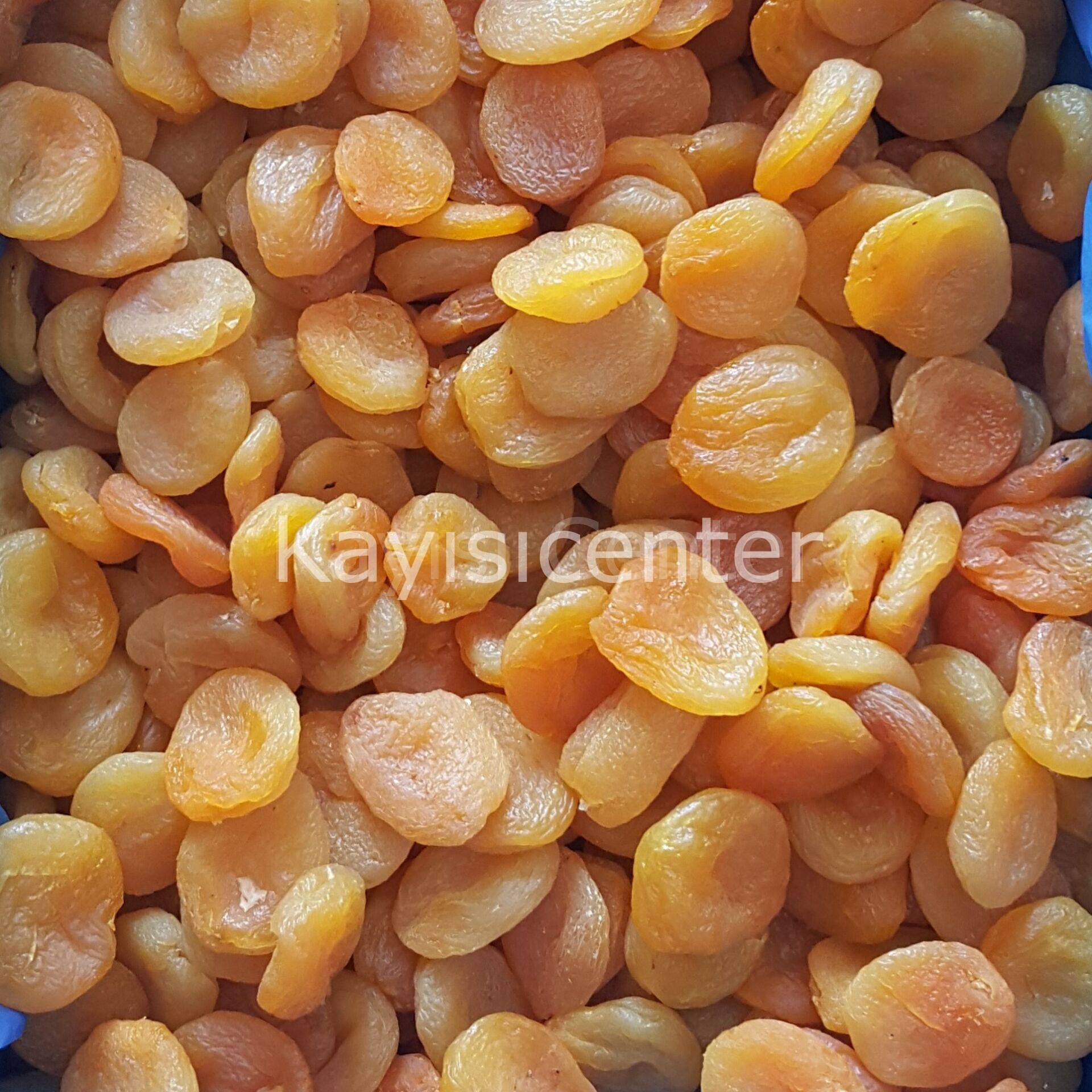 GFF83M1Q56 Product Variation