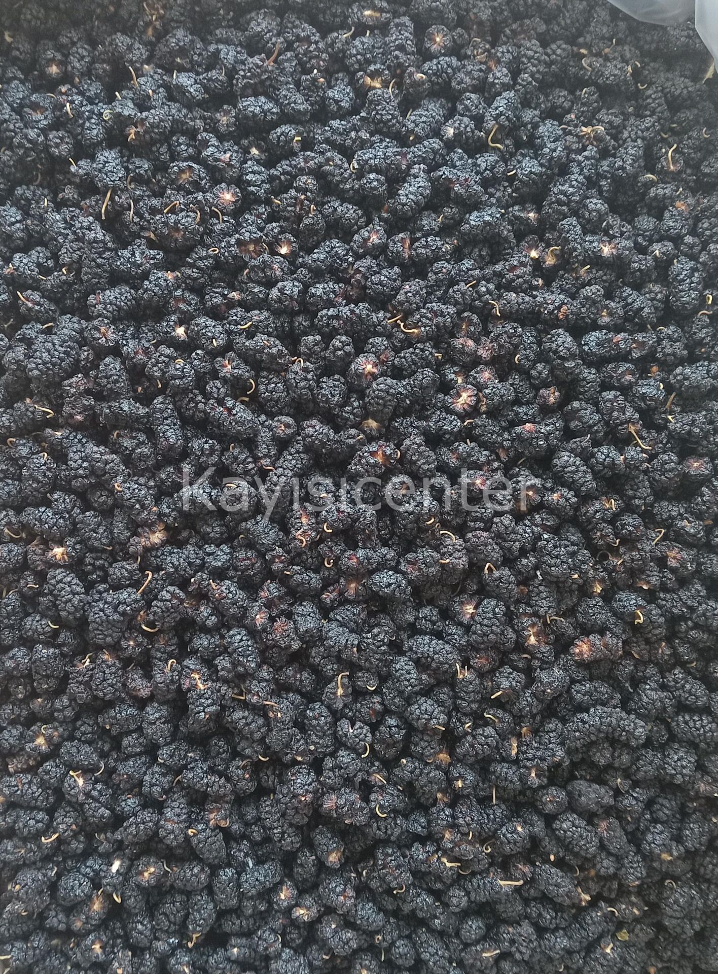 UR9GKCWUDM Product Variation