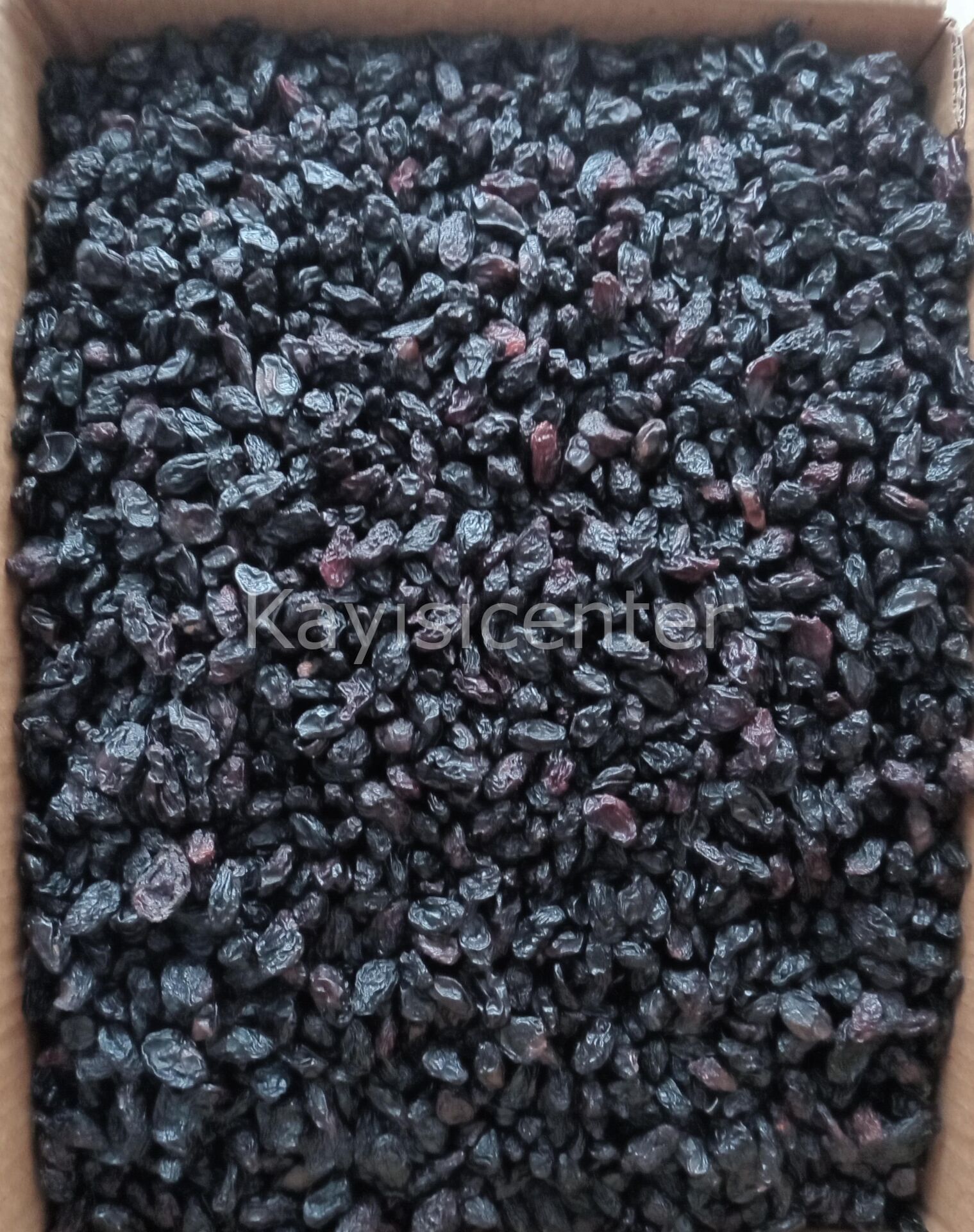 XDGPWJ1LP6 Product Variation