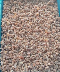 Toptan Küp Kesme Sarı Kayısı 10Kg