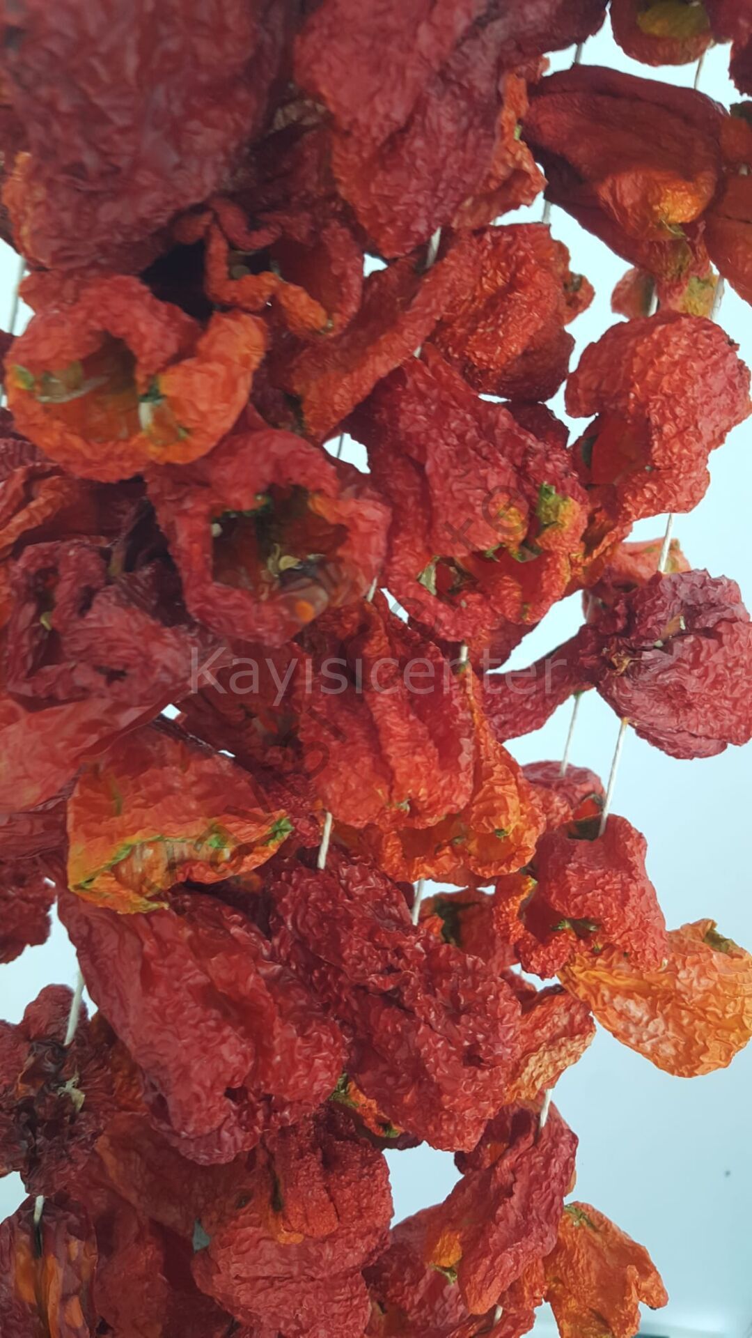 JCQVEDWC71 Product Variation