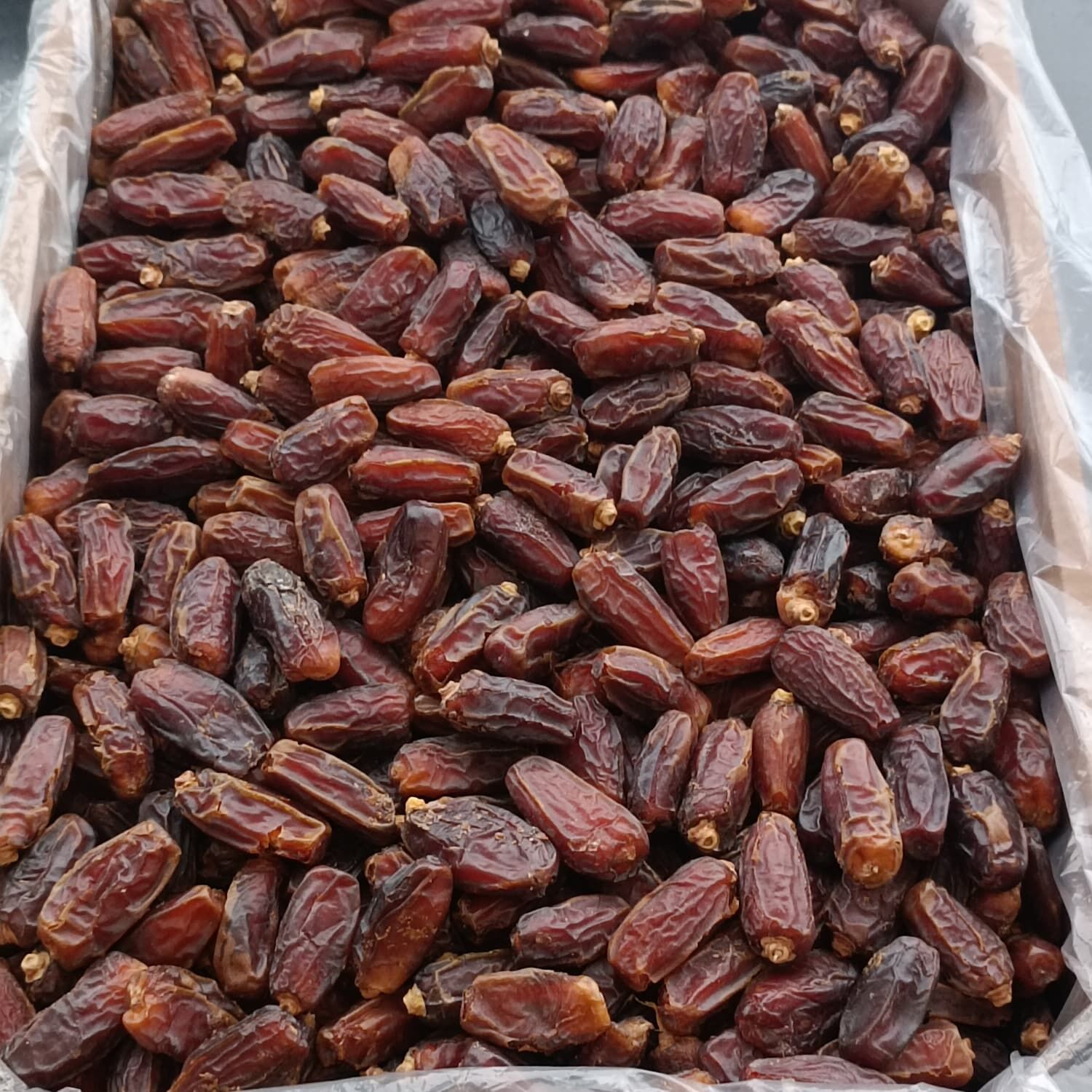 YHF5PZ4P2U Product Variation