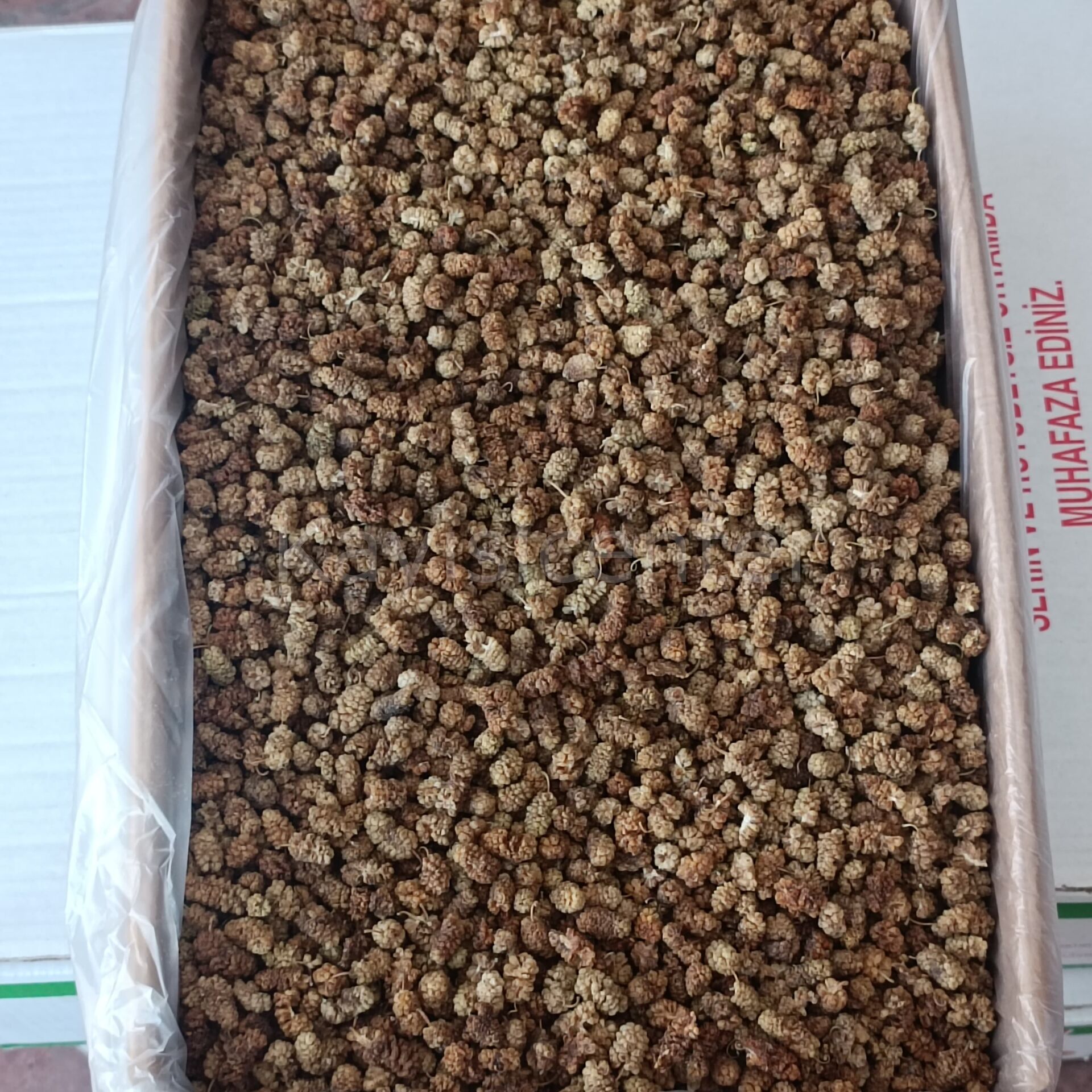 GTSZKYYCUU Product Variation