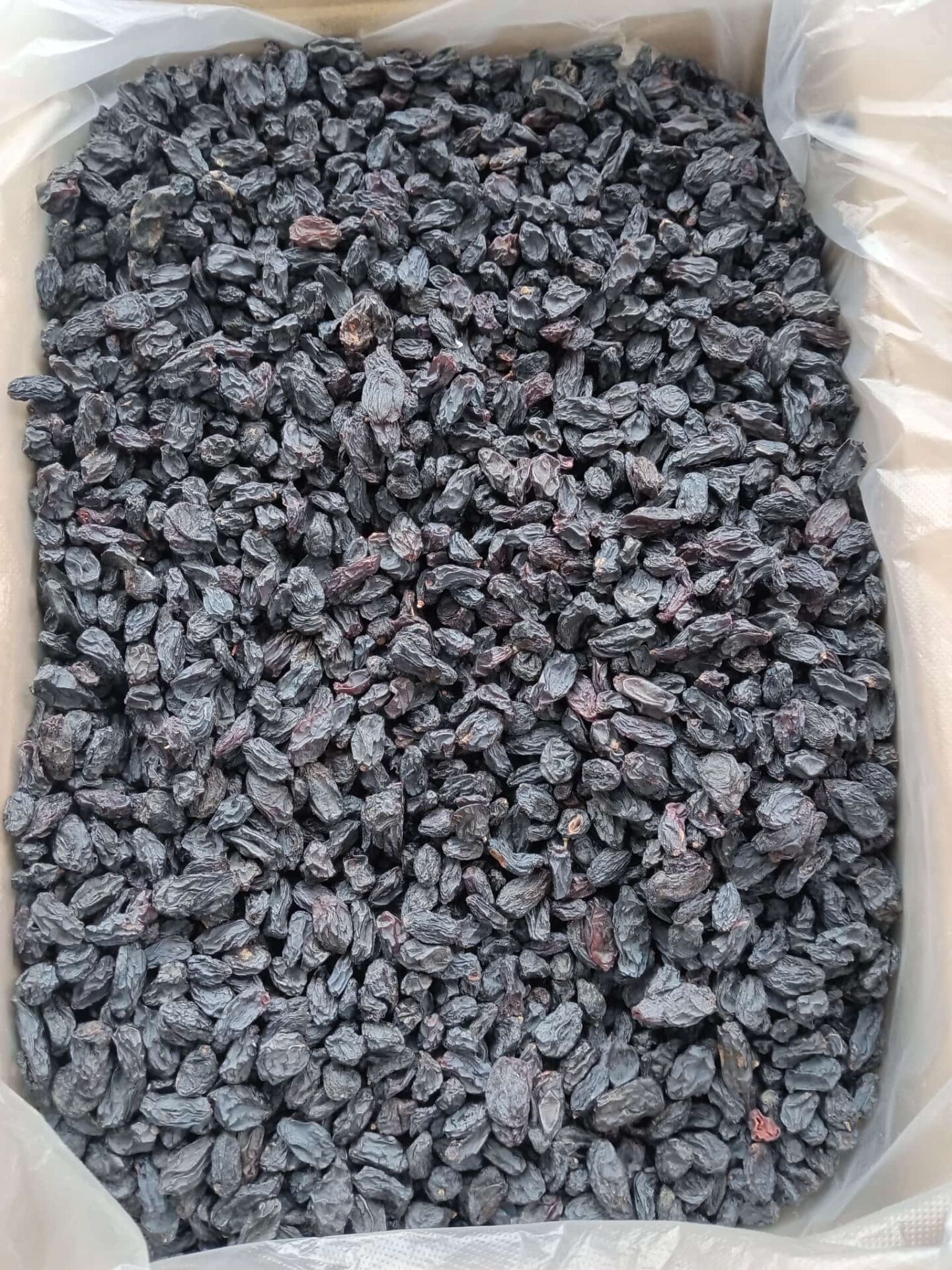 YRM8LZVGTE Product Variation