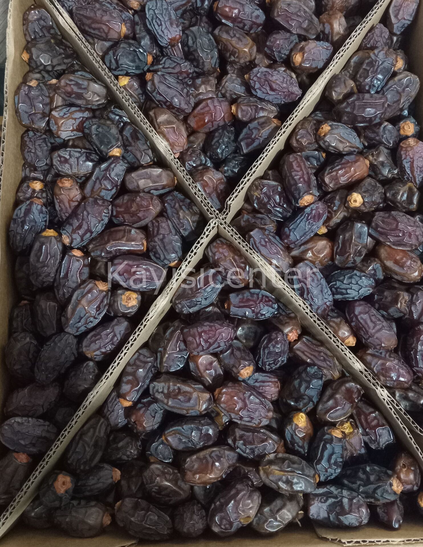 Toptan Kudüs Lüks Medjoul Small Hurma