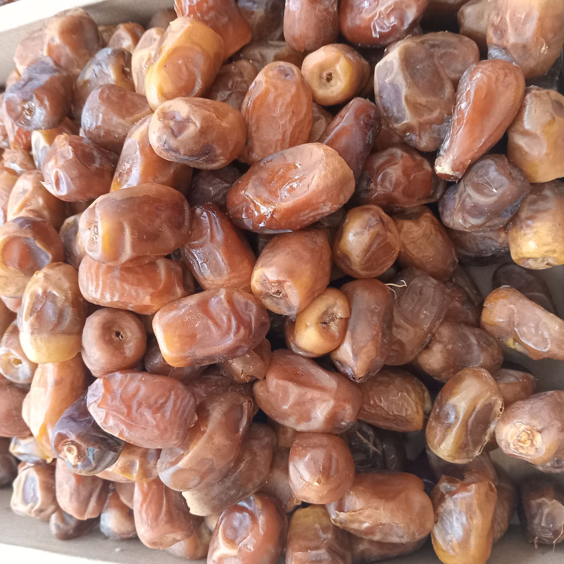 Toptan Medine Sukkari Taze Hurma 5 Kg