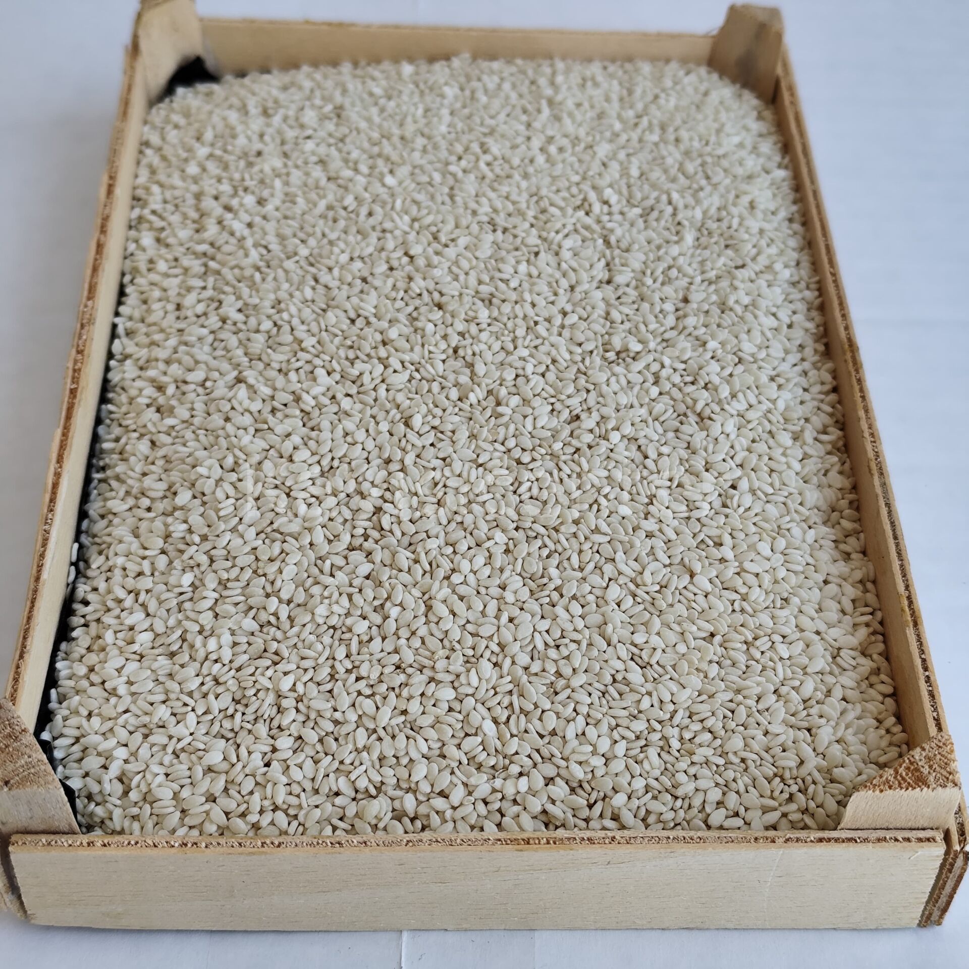 QHYMAGW6KR Product Variation