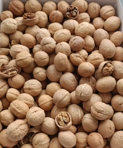 Toptan İthal Kabuklu Ceviz  10 Kg