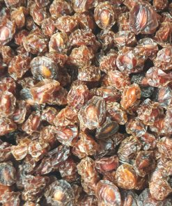 Alternative view of Toptan Doğal Can Erik Kurusu 10 Kg