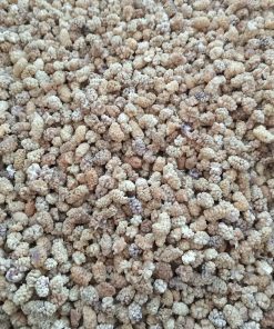 Toptan Elazığ Çekirdeksiz Kuru Dut Ekonomik 10 Kg