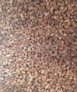 Toptan Yerli Dut Kurusu Esmer 1000 Kg