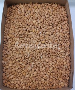 Alternative view of Toptan Kayısı Çekirdeği 10 Kg