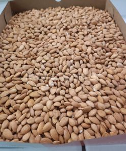 Toptan Kayısı Çekirdeği 25 Kg