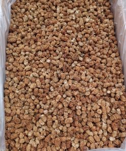 Alternative view of Toptan Dut Kurusu 1.Kalite 11 Kg