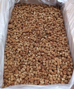 Toptan Dut Kurusu 1.Kalite 11 Kg