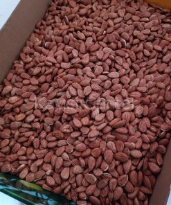 Toptan Gün Kurusu Kayısı Çekirdeği 25 Kg