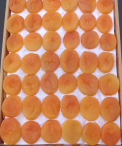 Toptan Jumbo Sarı Kayısı Özel Dizim 10Kg