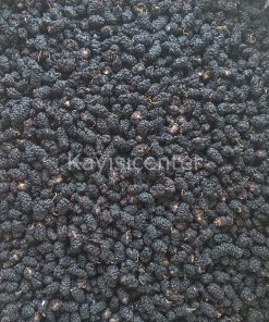 Alternative view of Toptan Kara Dut Kurusu 10 Kg