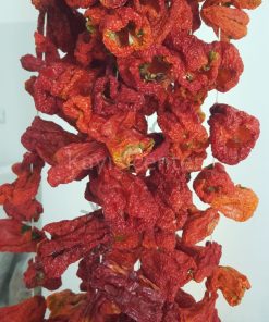 Toptan Dolmalık Biber Kurusu -10- Bağ