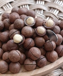 Toptan Kabuklu Kavrulmuş Makademya Fındığı 10 Kg