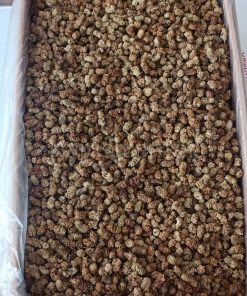 Alternative view of Toptan Yerli Orta Kalite Dut Kurusu 11 Kg